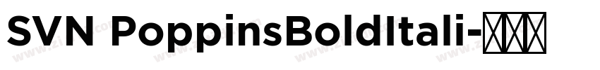 SVN PoppinsBoldItali字体转换